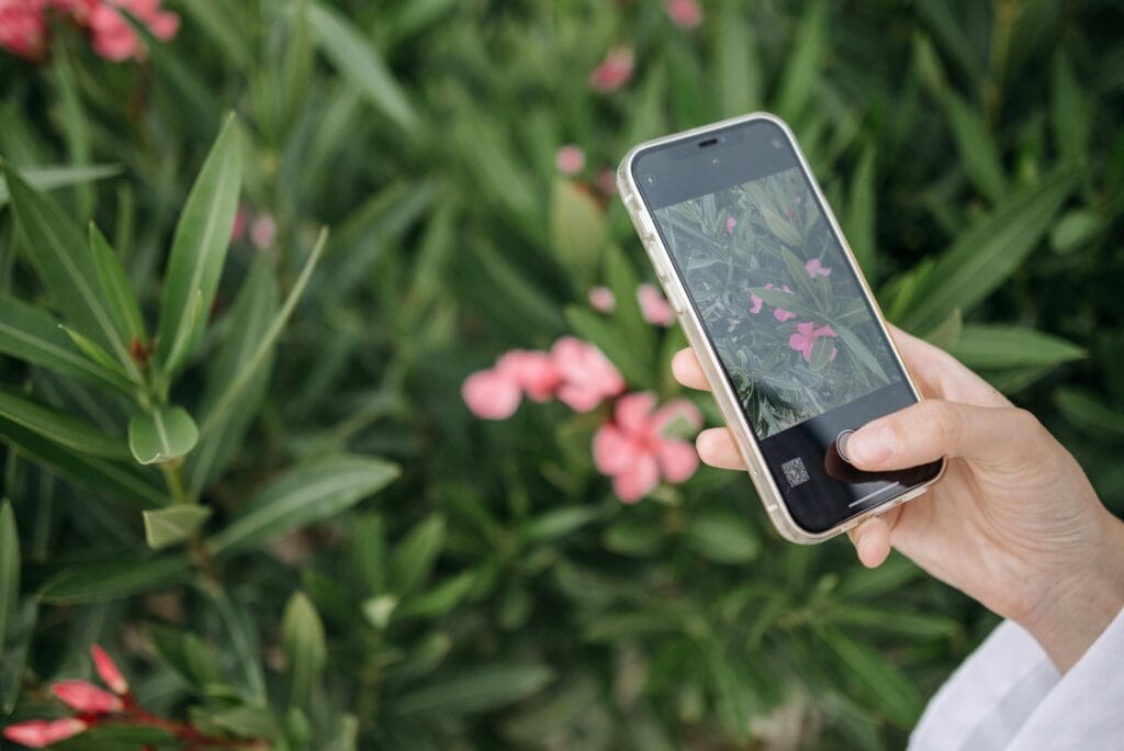 Flower content for social media post ideas